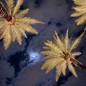 Meet your Posher, Brett